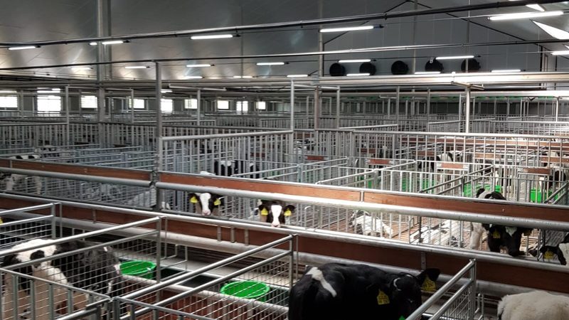 打造高效直播间：双十一场景搭建的五大关键要素