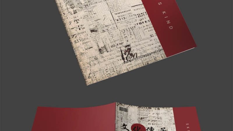 Shopify建站与自建站：成本背后的考量因素